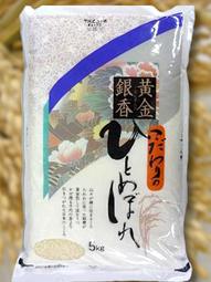 令和5年産新米！！産地精米　山形県産ひとめぼれ　